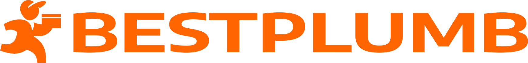 website logo